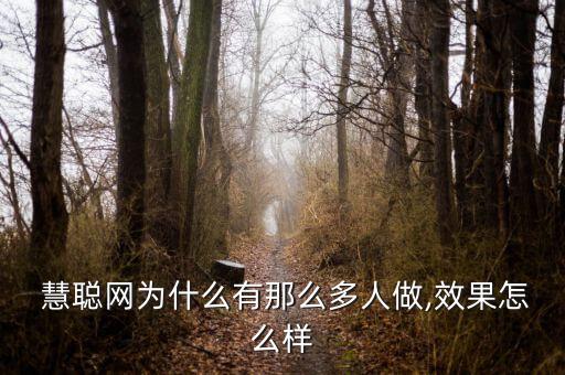 慧聰貸款怎么樣,慧聰net網絡服務優(yōu)勢明顯提高服務能力