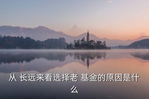 長遠(yuǎn)基金怎么樣,長期定投需要vision建議投指數(shù)型基金