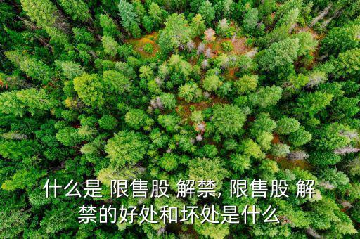 福田汽車(chē)限售解禁會(huì)怎么樣,限售解禁是怎么一回事