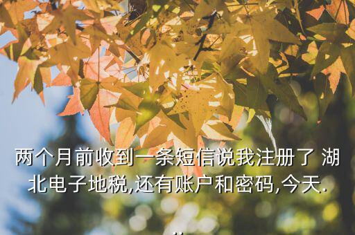 兩個(gè)月前收到一條短信說我注冊(cè)了 湖北電子地稅,還有賬戶和密碼,今天...