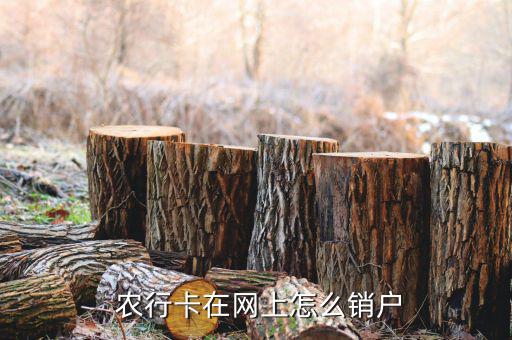  農行卡在網上怎么銷戶