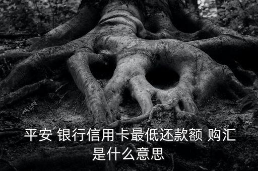  平安 銀行信用卡最低還款額 購(gòu)匯是什么意思