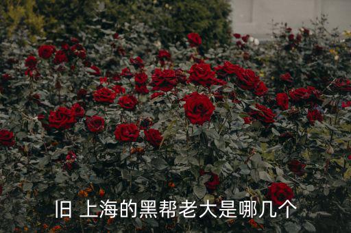 上?；バ沤鹑谠趺礃?上海五國會議機制前身是五國集團(tuán)主席