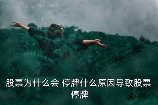 002647今天怎么停牌,股票停牌