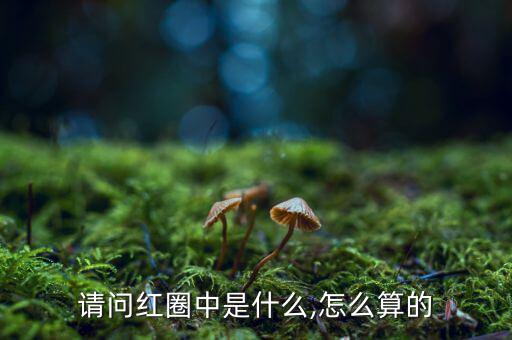 請(qǐng)問紅圈中是什么,怎么算的