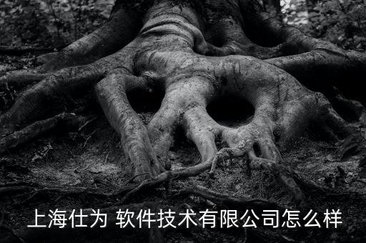  上海仕為 軟件技術有限公司怎么樣