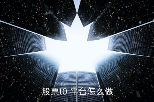  股票t0 平臺(tái)怎么做