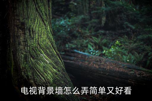 電現(xiàn)募墻怎么做好,電視墻設(shè)計(jì)好看又省錢