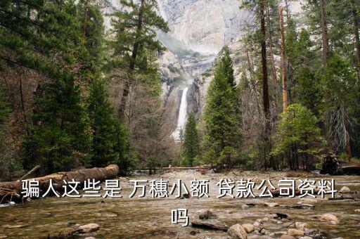 萬(wàn)穗貸款怎么樣,貸款知多少?問(wèn)與答（20）
