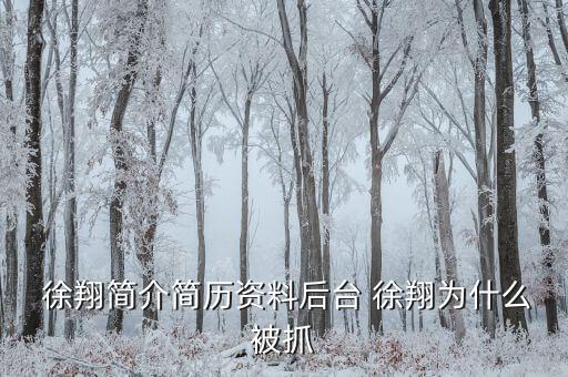 徐翔是怎么回事,徐翔、王偉、犯受賄罪被判入獄五年半