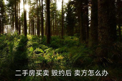 二手房賣(mài)方毀約怎么辦,違約金或大于收益本質(zhì)上屬于違約行為
