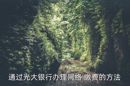 通過光大銀行辦理網(wǎng)絡(luò) 繳費的方法