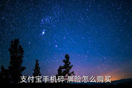 支付寶手機(jī)碎 屏險(xiǎn)怎么購(gòu)買(mǎi)