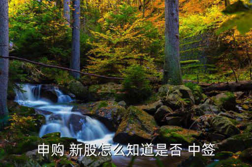 買(mǎi)新股怎么知道中簽,查詢新股是否中簽三個(gè)渠道可查詢