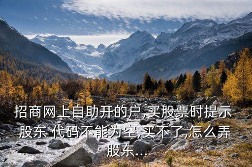 招商網(wǎng)上自助開(kāi)的戶(hù),買(mǎi)股票時(shí)提示 股東 代碼不能為空,買(mǎi)不了,怎么弄 股東...