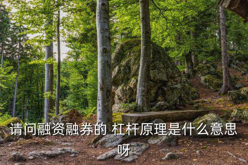 請(qǐng)問(wèn)融資融券的 杠桿原理是什么意思呀