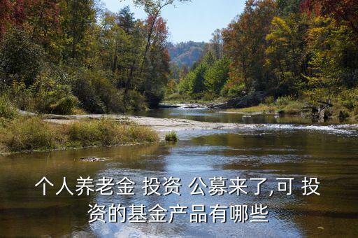 個(gè)人養(yǎng)老金 投資 公募來了,可 投資的基金產(chǎn)品有哪些