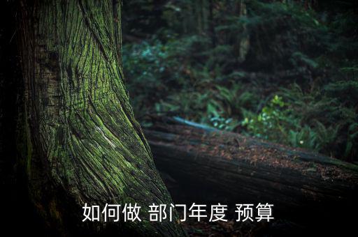 如何做 部門(mén)年度 預(yù)算