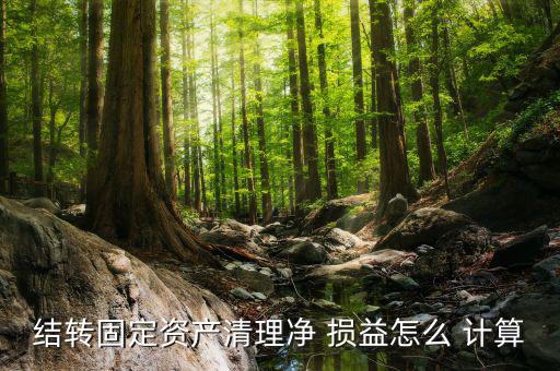 凈損益怎么計(jì)算,財(cái)務(wù)預(yù)算案2021:清算會記錄清算成果
