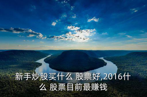 新手炒股買什么 股票好,2016什么 股票目前最賺錢(qián)