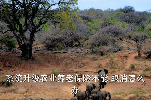 系統(tǒng)升級農(nóng)業(yè)養(yǎng)老保險(xiǎn)不能 取消怎么辦