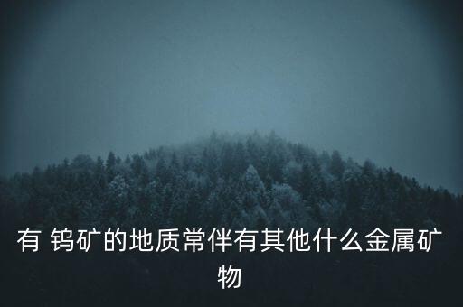 有 鎢礦的地質常伴有其他什么金屬礦物