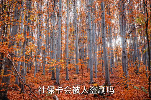 社?？ū槐I刷怎么辦,社保補卡服務丟了怎么辦