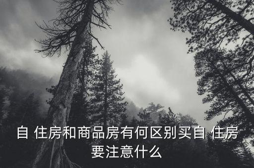 自住房怎么搖號(hào),京字-1搖號(hào)規(guī)則:購(gòu)房家庭按一定比例抽取