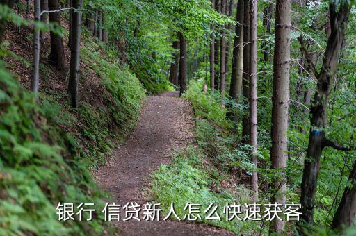 信貸怎么跑銀行業(yè)務(wù),個人貸款一般指個人房產(chǎn)抵押消費(fèi)貸款