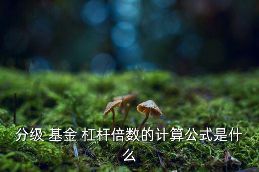 分級(jí) 基金 杠桿倍數(shù)的計(jì)算公式是什么