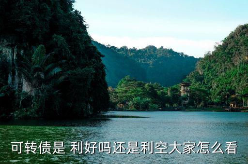 可轉債是 利好嗎還是利空大家怎么看