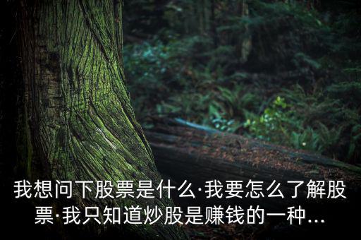 進行個股簡單說明怎么寫,投資股票要學(xué)會釣魚，學(xué)會吃魚!