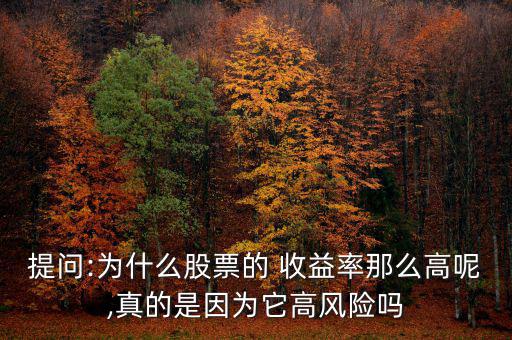 提問:為什么股票的 收益率那么高呢,真的是因?yàn)樗唢L(fēng)險(xiǎn)嗎