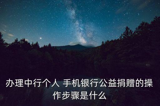 辦理中行個人 手機銀行公益捐贈的操作步驟是什么