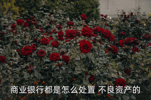 商業(yè)銀行都是怎么處置 不良資產的