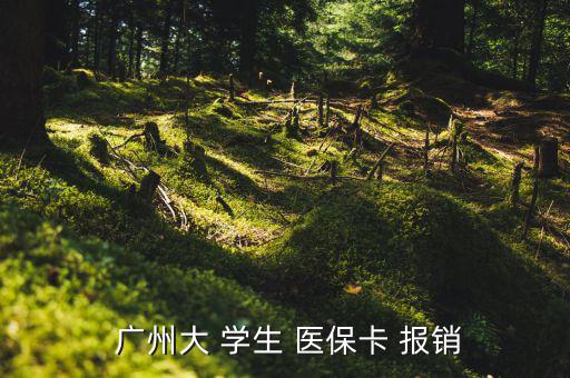  廣州大 學(xué)生 醫(yī)?？?報銷