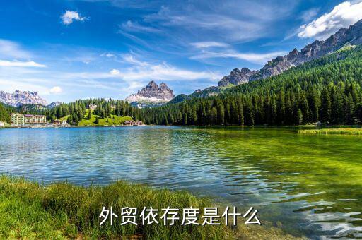 外貿依存度是什么