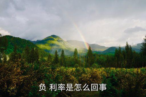 中國進(jìn)負(fù)利率時代怎么辦,負(fù)利率醞釀泡沫經(jīng)濟(jì)金融危機正在醞釀