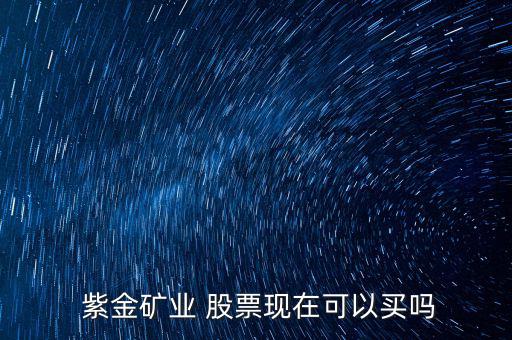  紫金礦業(yè) 股票現(xiàn)在可以買(mǎi)嗎