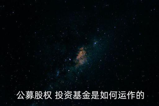 個人怎么公募投資,私募基金投資細(xì)節(jié)表