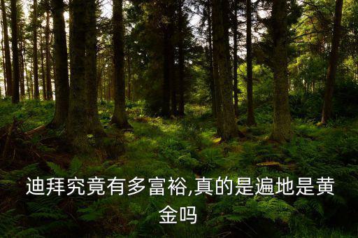 迪拜經濟怎么樣,拜登靠什么發(fā)財走向中央位置?
