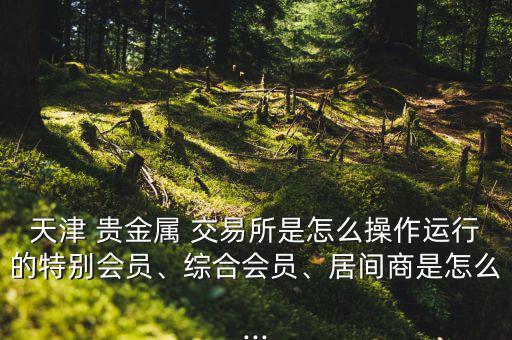 天津 貴金屬 交易所是怎么操作運(yùn)行的特別會(huì)員、綜合會(huì)員、居間商是怎么...