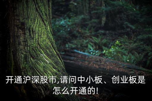 開通滬深股市,請問中小板、創(chuàng)業(yè)板是怎么開通的!