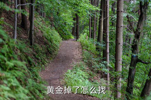 丟黃金怎么辦,黃金丟了怎么找?可用金屬探測(cè)儀檢測(cè)尋找金飾