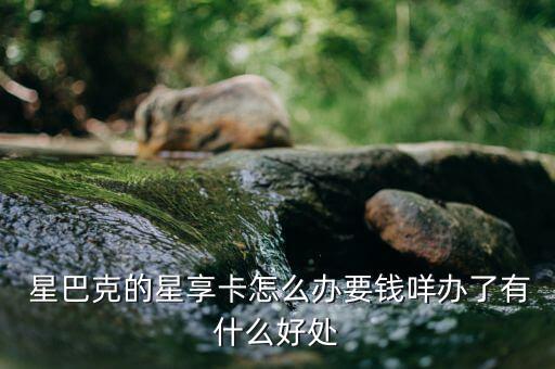 國(guó)外星巴克卡怎么購買,星和信發(fā)行什么是星展銀行預(yù)付卡?