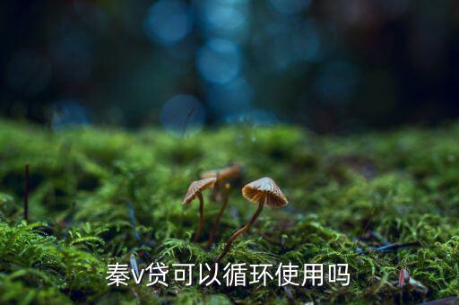 v貸怎么樣,工資錢(qián)包v信用不能申請(qǐng)無(wú)抵押貸款