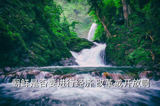  朝鮮是否要進(jìn)行經(jīng)濟(jì) 改革或開(kāi)放啊.