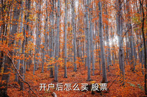 qq股票怎么買(mǎi),新手買(mǎi)股票須是100股的整數(shù)倍