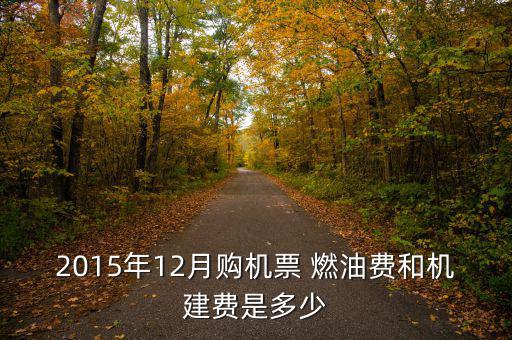 2015飛機燃油費怎么算,我國取消機場建設費和燃油費