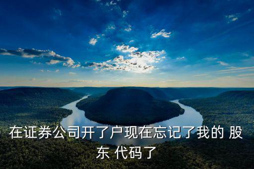 在證券公司開(kāi)了戶(hù)現(xiàn)在忘記了我的 股東 代碼了
